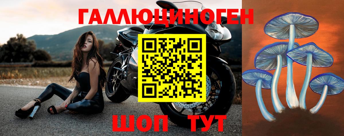Галлюциногенные грибы прущие грибы  Вход с VPN  Чайковский 