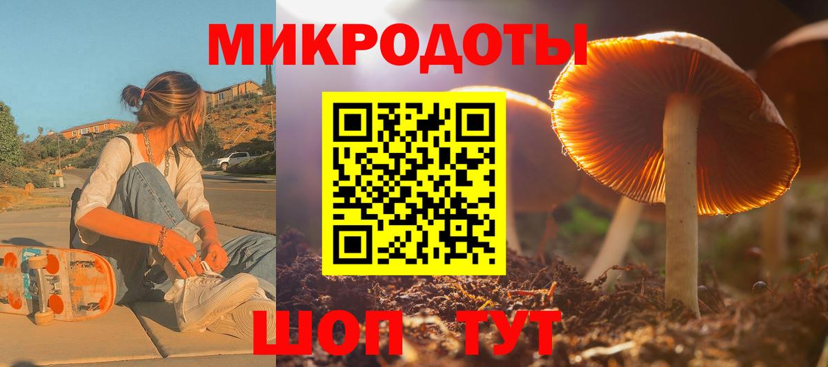Псилоцибиновые грибы ЛСД Чайковский